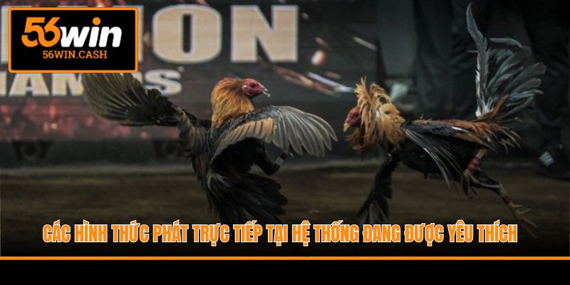 Các hình thức phát trực tiếp tại hệ thống đang được yêu thích